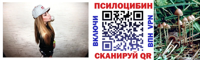 Псилоцибиновые грибы GOLDEN TEACHER  купить   Сысерть 